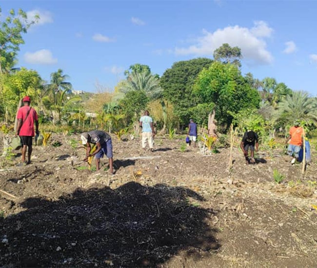 Farmers prepare and plant the soil at Life Garden, part of Starfysh’s effort to increase local food production on La Gonave.