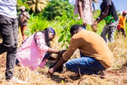 A farmer on La Gonave planting a young tree seedling as part of Starfysh’s reforestation and agriculture efforts.