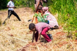 A child planting vegetable seedlings at Starfysh’s Life Garden on La Gonave.