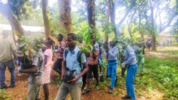 Students on La Gonave receiving seedlings to plant as part of Starfysh’s community health and nutrition efforts.